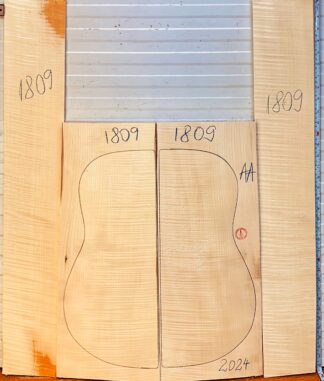 Archtop Guitar No.1809 Back and Sides