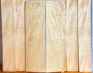Cello No.1901 Back and Sides