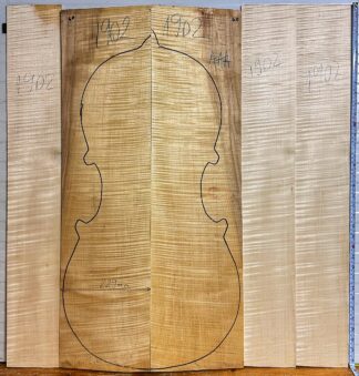 Cello No.1902 Back and Sides