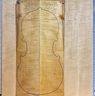 Cello No.1903 Back and Sides