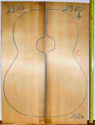 Torrefied Spruce Top for Acoustic Guitars
