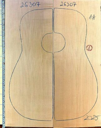 Guitar western No.26307 Top
