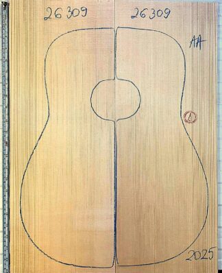 Guitar western No.26309 Top