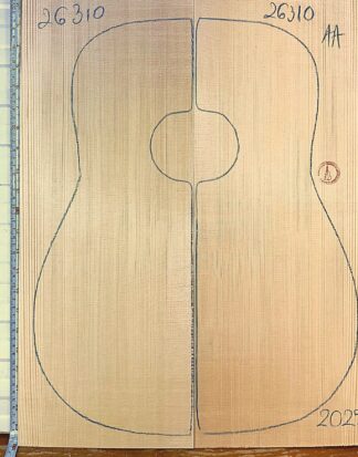 Guitar western No.26310 Top