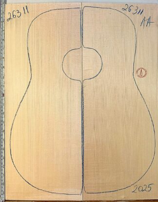 Guitar western No.26311 Top