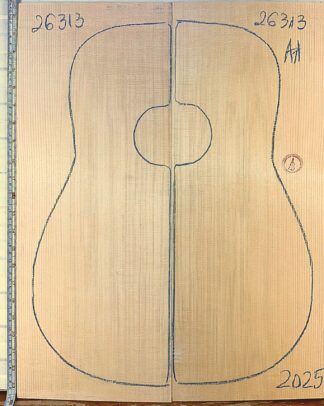 Guitar western No.26313 Top