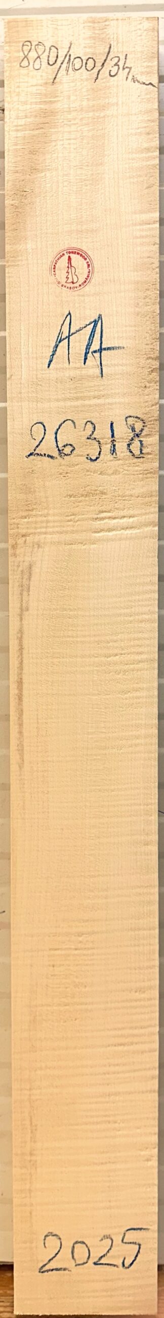 Guitar western No.26318 Neck