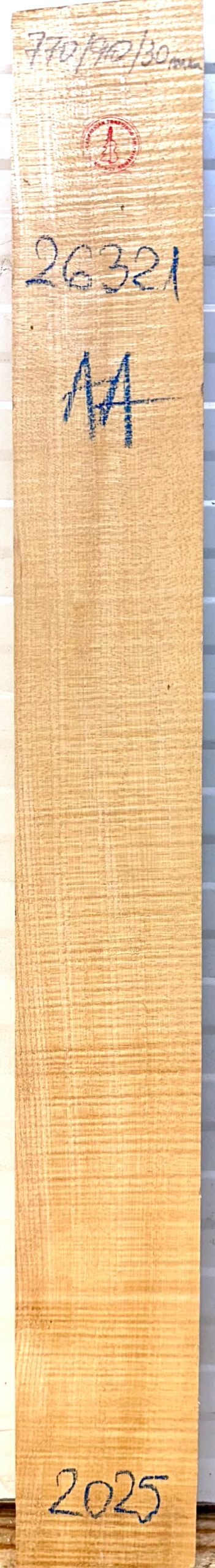 Guitar western No.26321 Neck