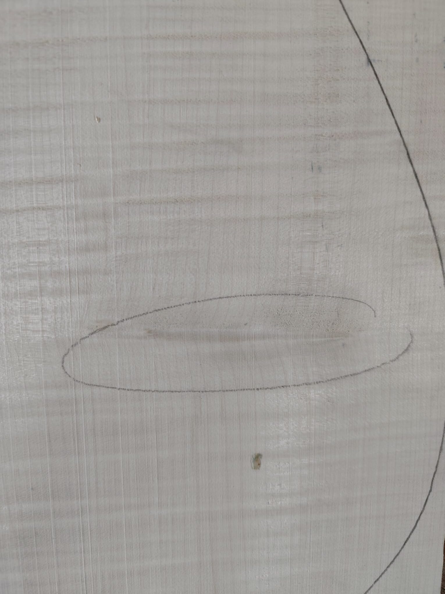Archtop Guitar Curly maple Back and Sides No. 1808, AA Grade - Image 6