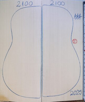 Guitar archtop No.2100 Top
