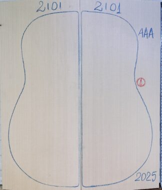 Guitar archtop No.2101 Top