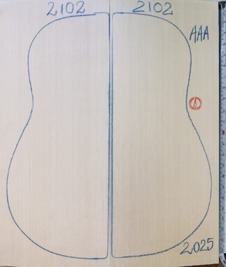 Guitar archtop No.2102 Top