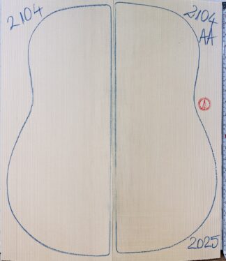 Guitar archtop No.2104 Top