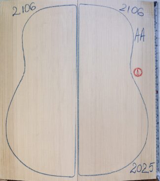 Guitar archtop No.2106 Top