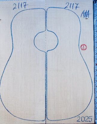 Acoustic Guitar No.2117 Top