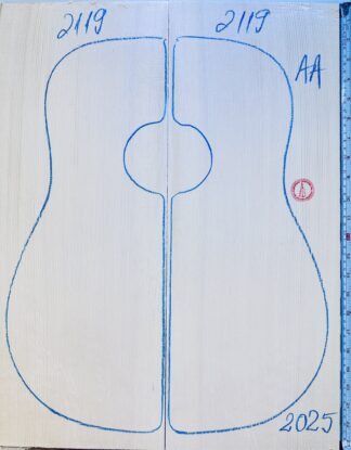 Acoustic Guitar No.2119 Top