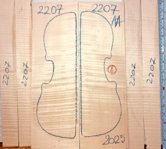 Violin No.2207 Back and Sides