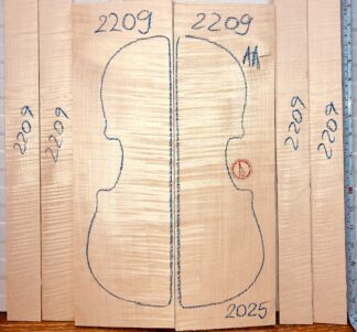 Violin No.2209 Back and Sides