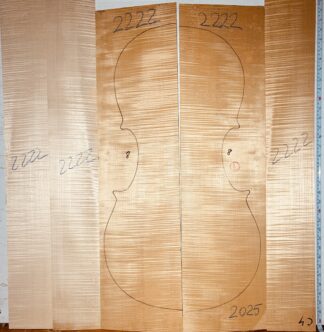 Cello No.2222 Back and Sides