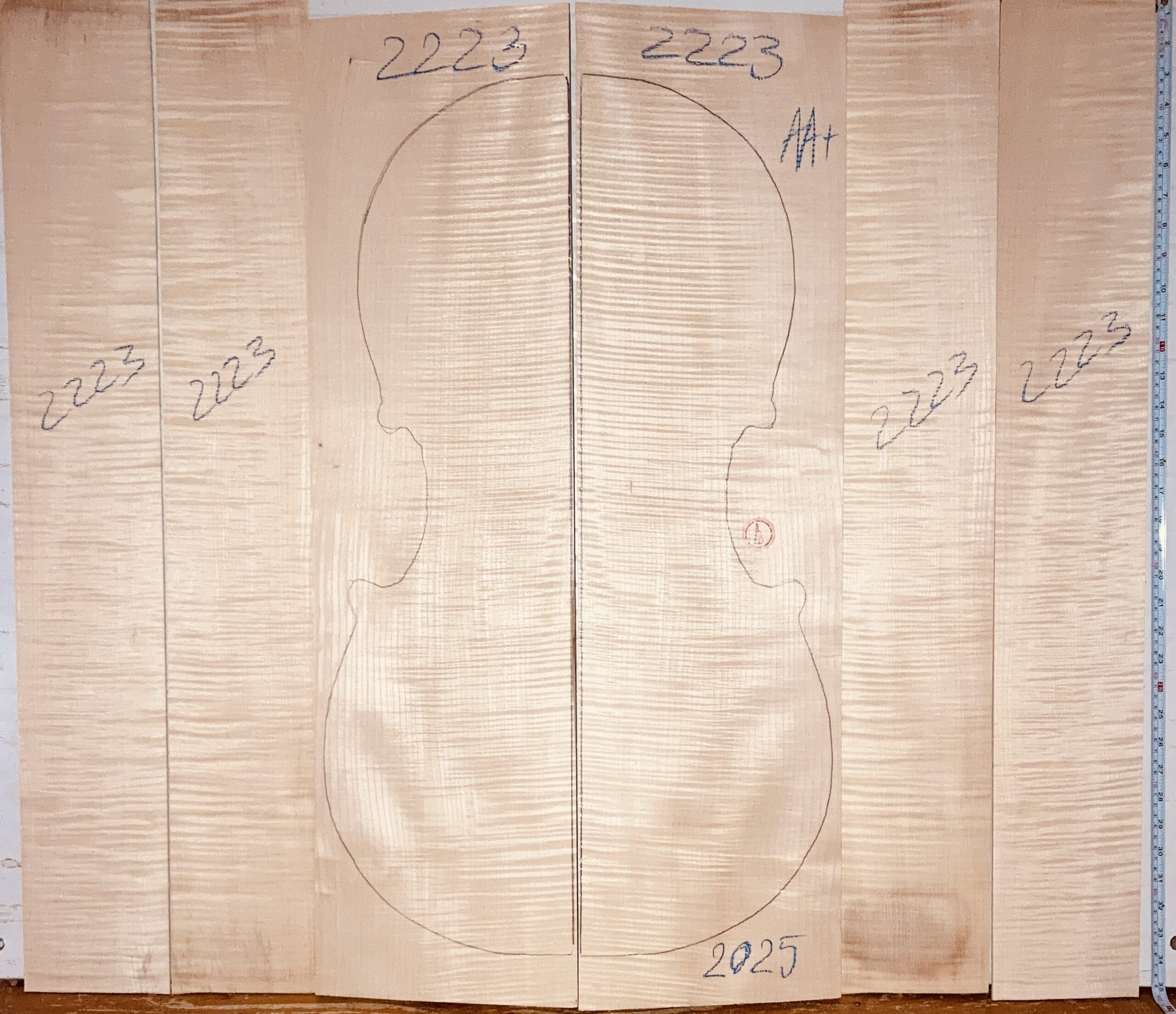 Cello No.2223 Back and Sides