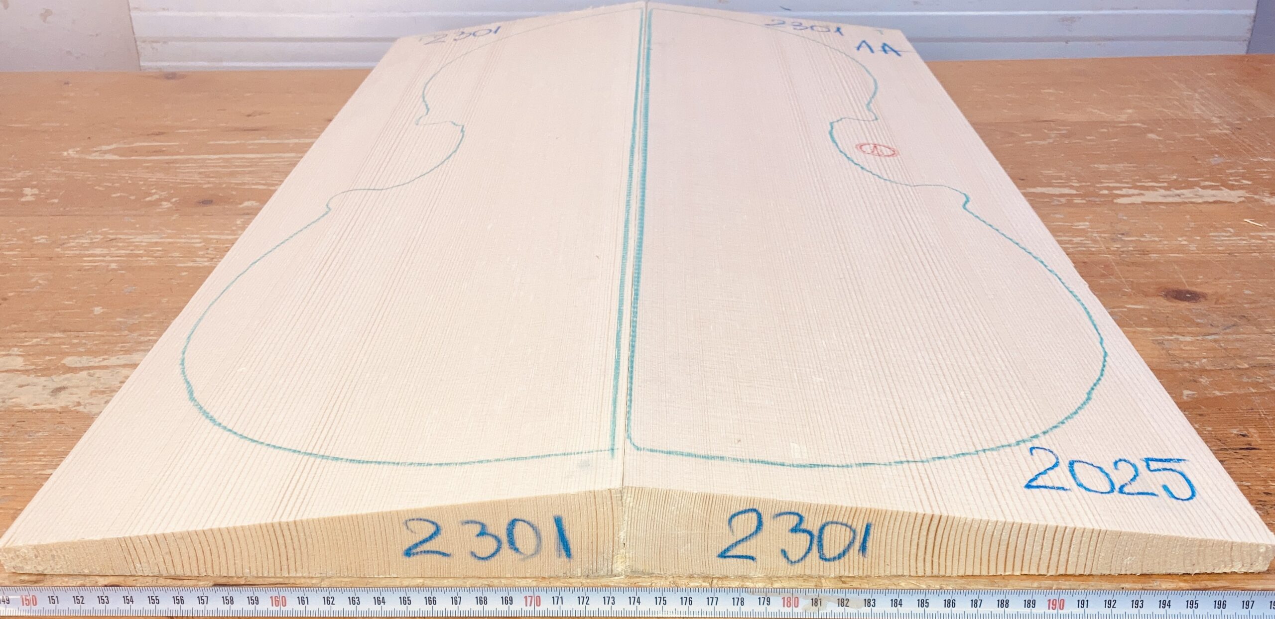 cut from Spruce