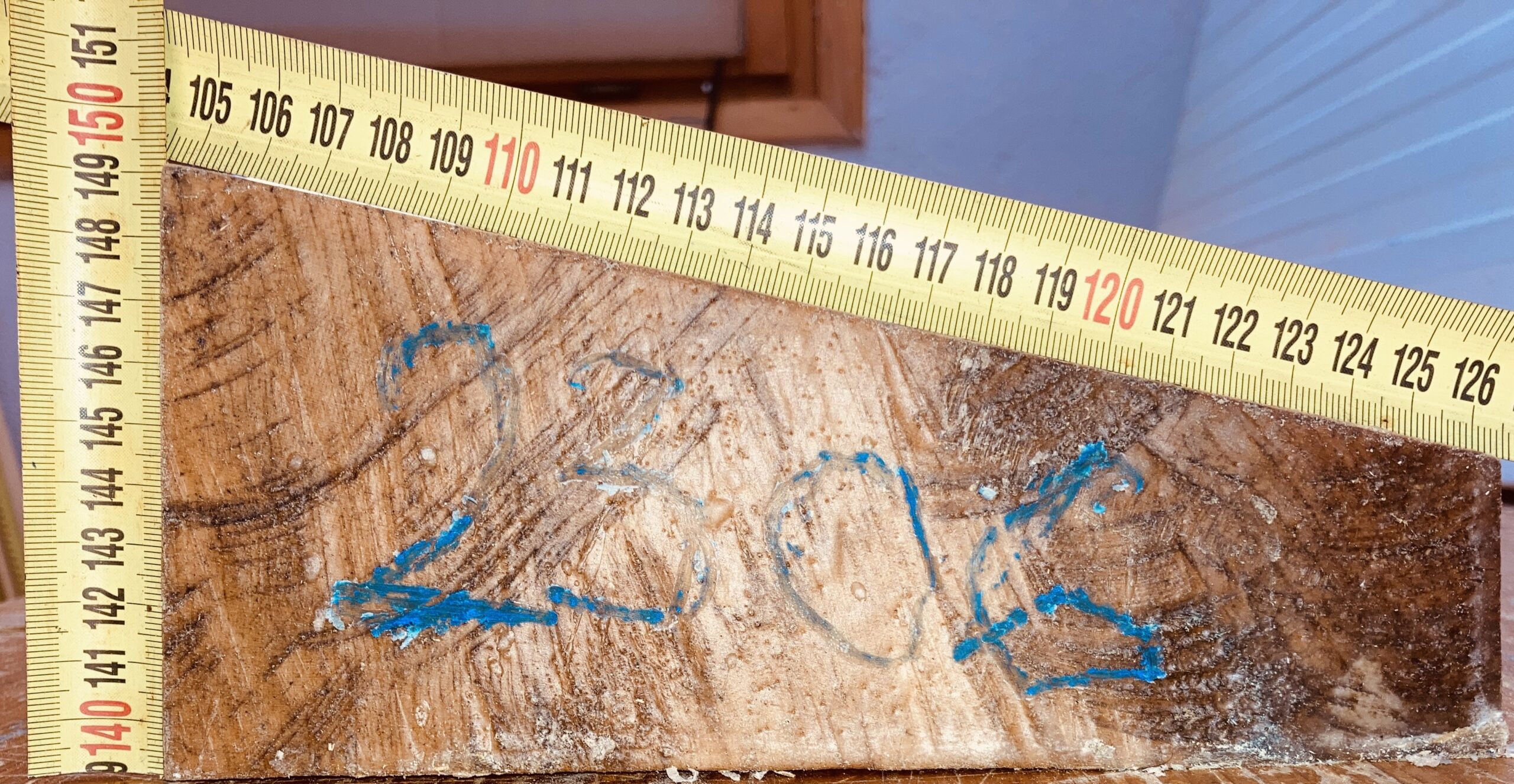 cut from Curly maple