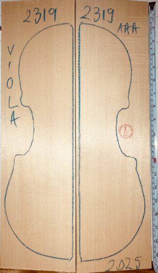 Violin No.2319 Top