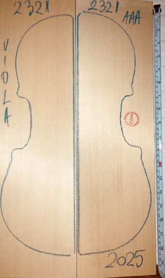 Violin No.2321 Top