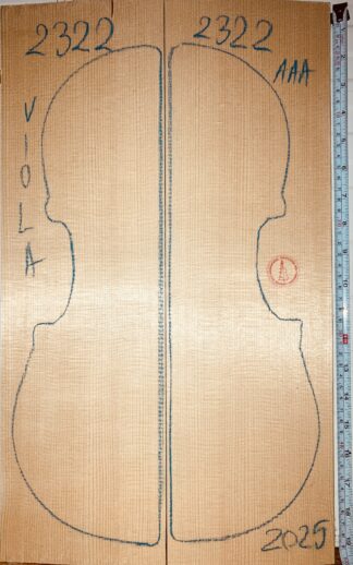 Violin No.2322 Top