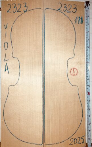 Violin No.2323 Top