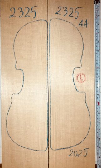 Violin top