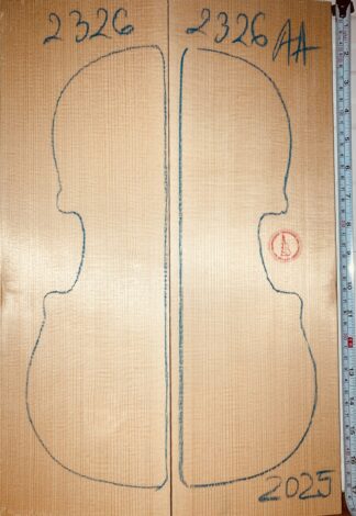 Violin top