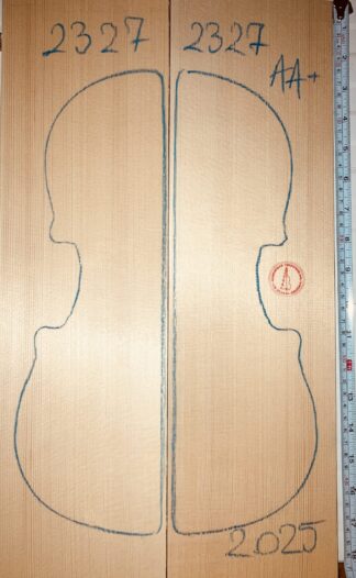 Violin top