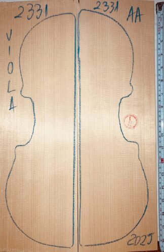 Violin top