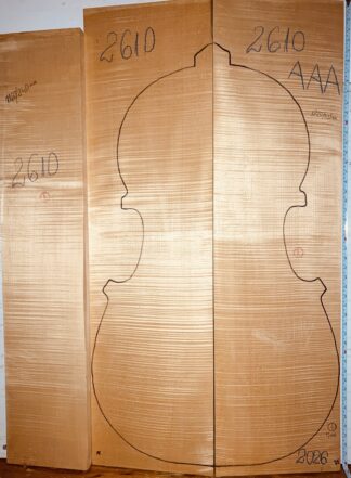 Double bass No.2610 Back and Sides