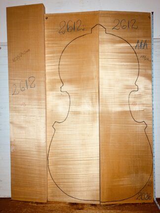 Double bass No.2612 Back and Sides