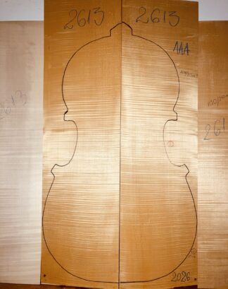 double bass curly maple back and sides