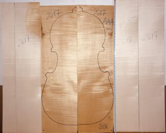 Curly maple back and sides for contrabass