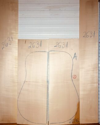 curly maple archtop back and sides