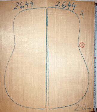 Archtop No.2644 Top