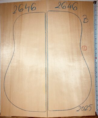 Archtop No.2646 Top
