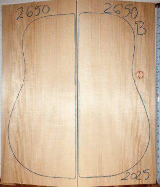 spruce archtop