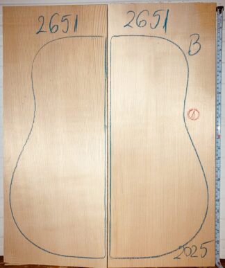 spruce archtop