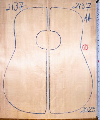 Acoustic Guitar No.2137 Top