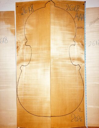 curly maple double bass