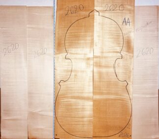 curly maple double bass