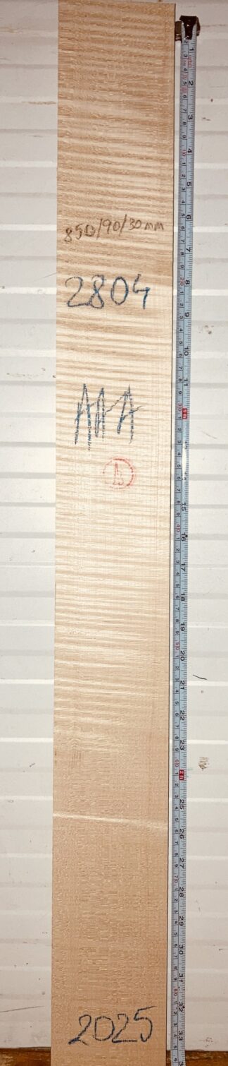 Acoustic Guitar No.2804 Neck
