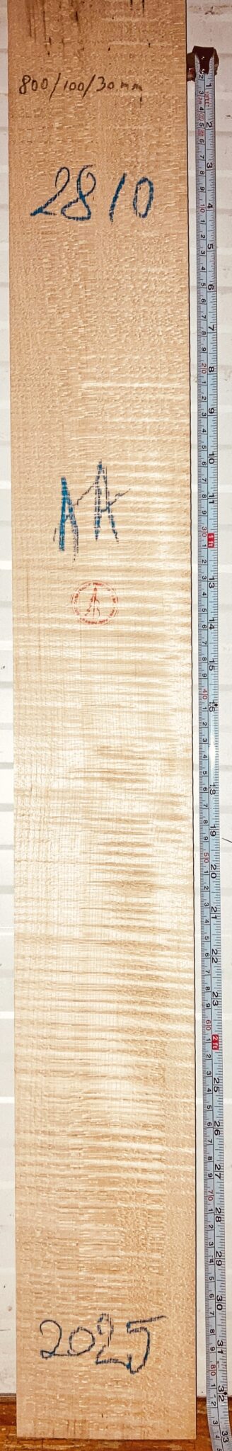 Acoustic Guitar No.2810 Neck