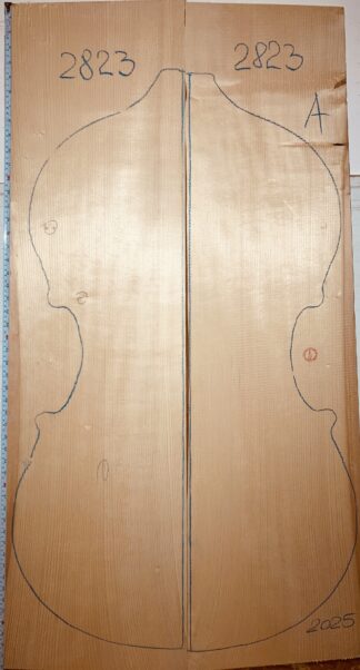 Double bass No.2823 Top