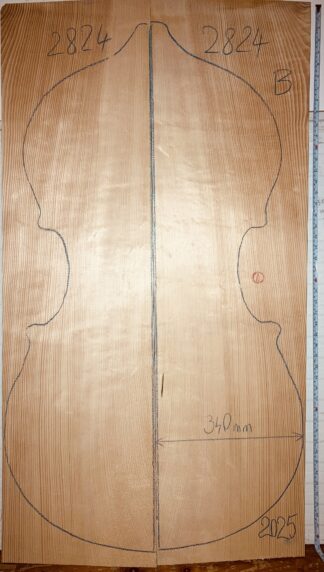 Double bass No.2824 Top